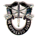 SF Insignia